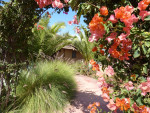 Mooie camping bij Marakesh
